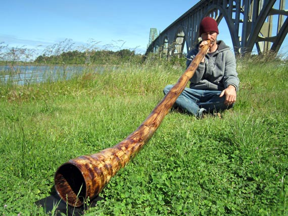 didjeridu image