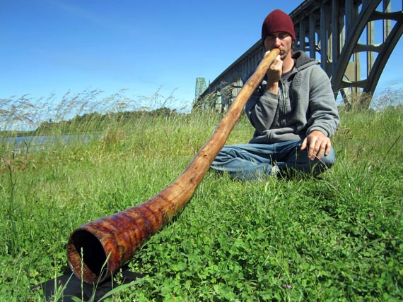 didjeridu image