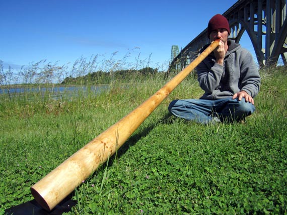 didjeridu image