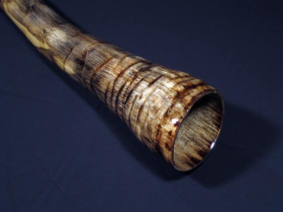 didjeridu image